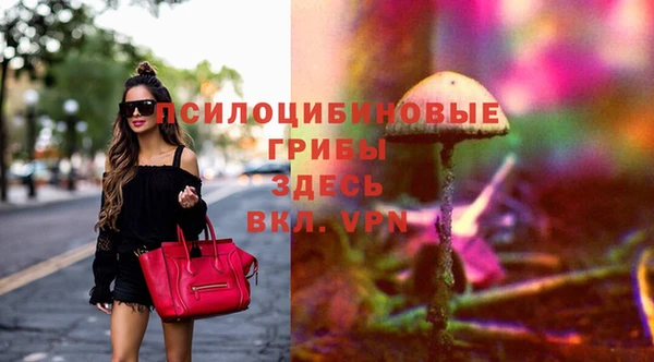 ПСИЛОЦИБИНОВЫЕ ГРИБЫ Аркадак