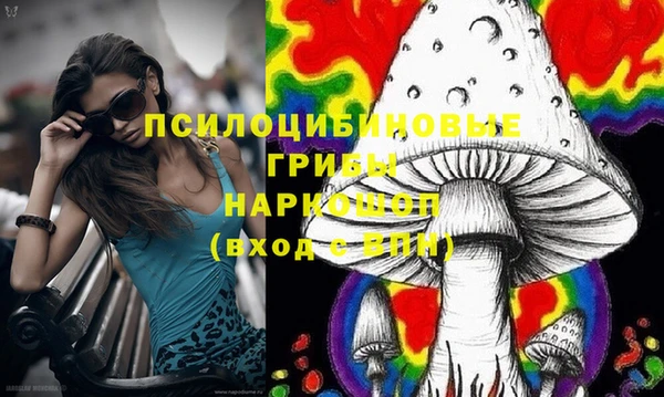 ПСИЛОЦИБИНОВЫЕ ГРИБЫ Аркадак